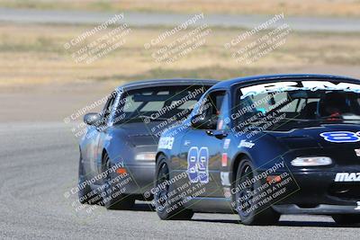 media/Oct-15-2023-CalClub SCCA (Sun) [[64237f672e]]/Group 4/Race/